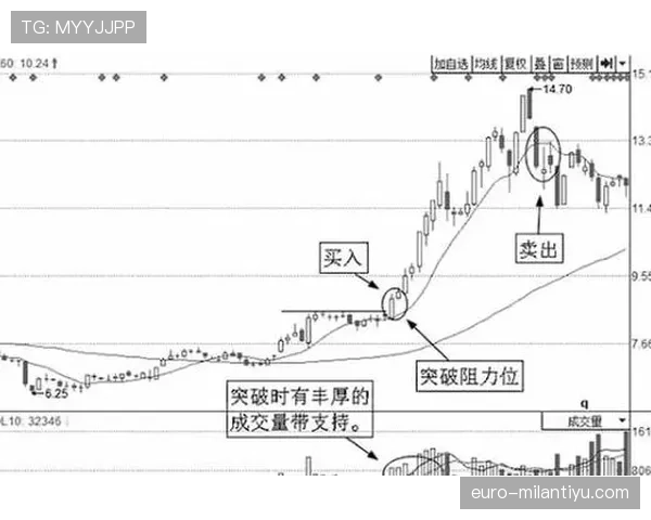E组黑马机会与风险分析